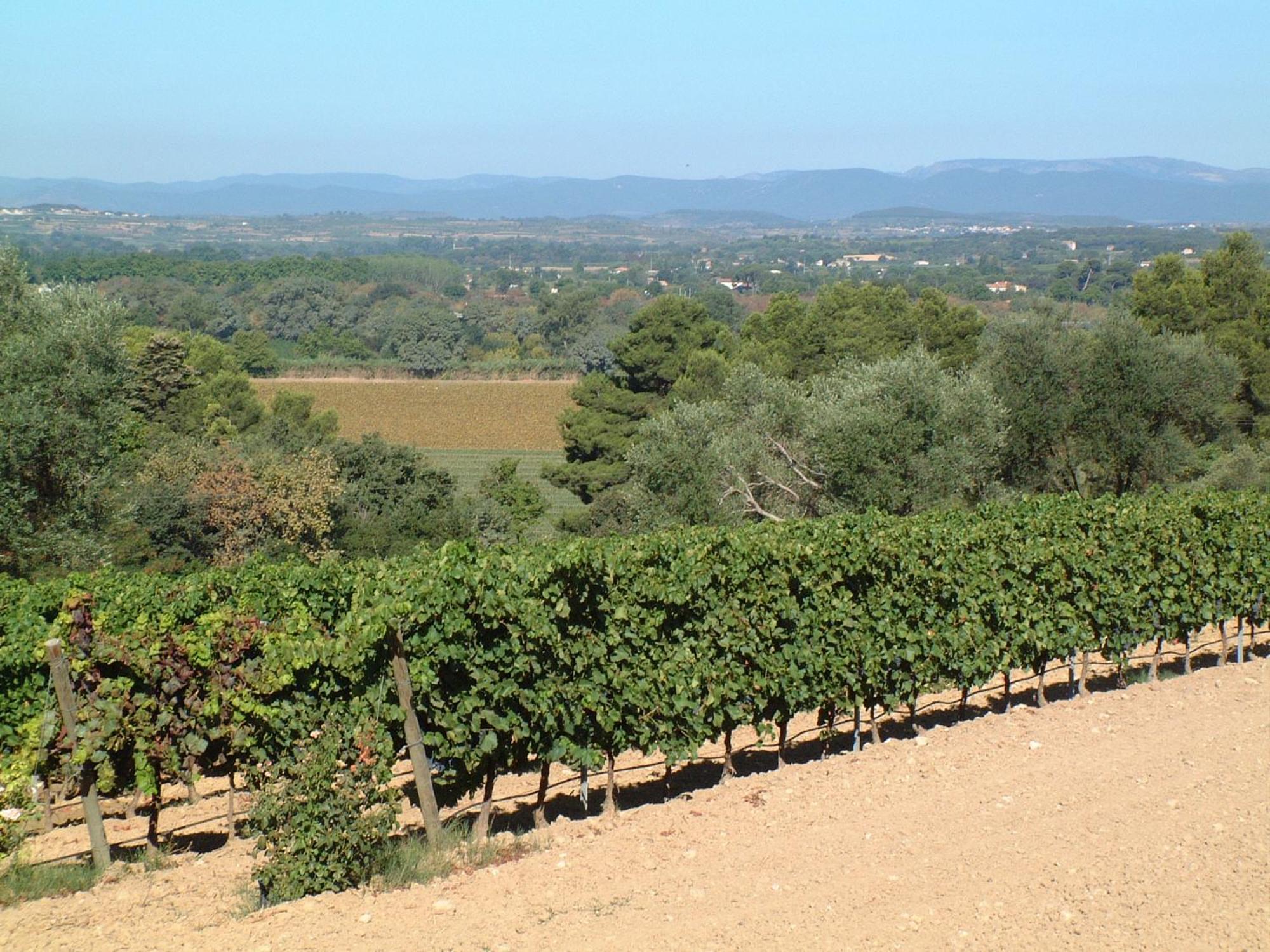 Chateau Saint Martin De Graves Aumes Esterno foto