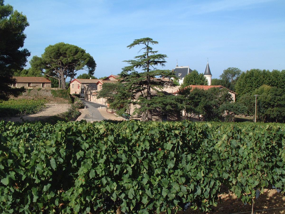 Chateau Saint Martin De Graves Aumes Esterno foto