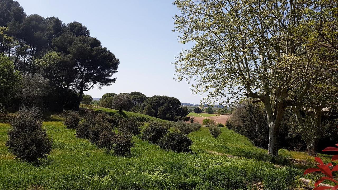 Chateau Saint Martin De Graves Aumes Esterno foto